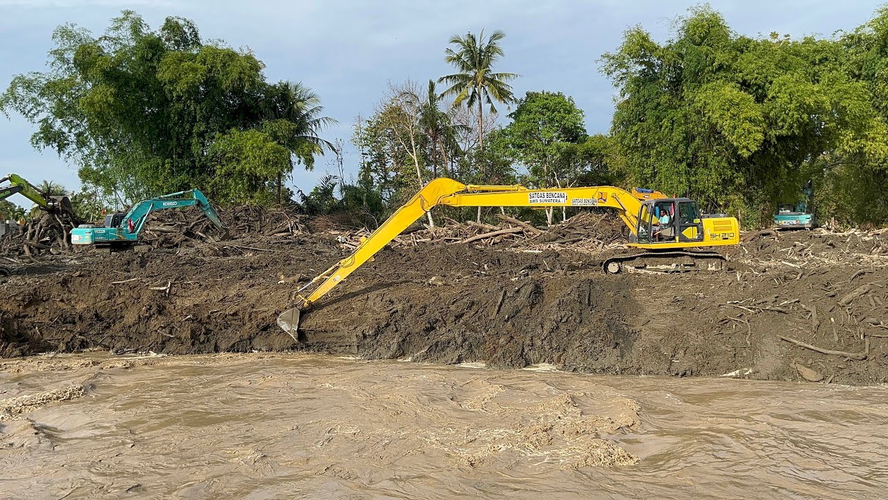 Heavy Excavator Cleaning Muddy River After Flood | Removing Wood Debris