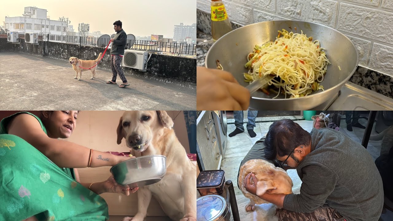 আমাদের নতুন বছরের শুরুটা একদম আলাদা ,এতদিন ভিডিও দিতে পারিনি 🥲,আজকে হলো ডোনার blood test, daily vlog