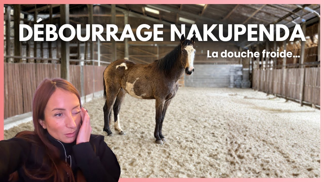 LE PRÉ-DÉBOURRAGE DE MA JUMENT NE SE PASSE PAS COMME PRÉVU… 🥺