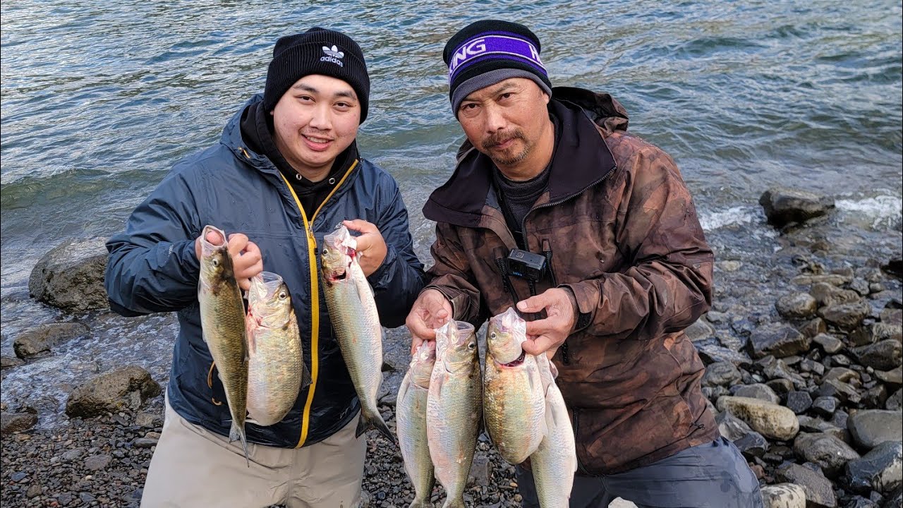 Shad Fishing at Bonneville dam