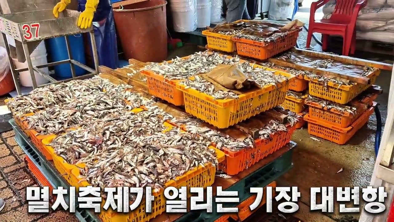 기장대변항 멸치축제가 열리는 기장바닷가 여행지