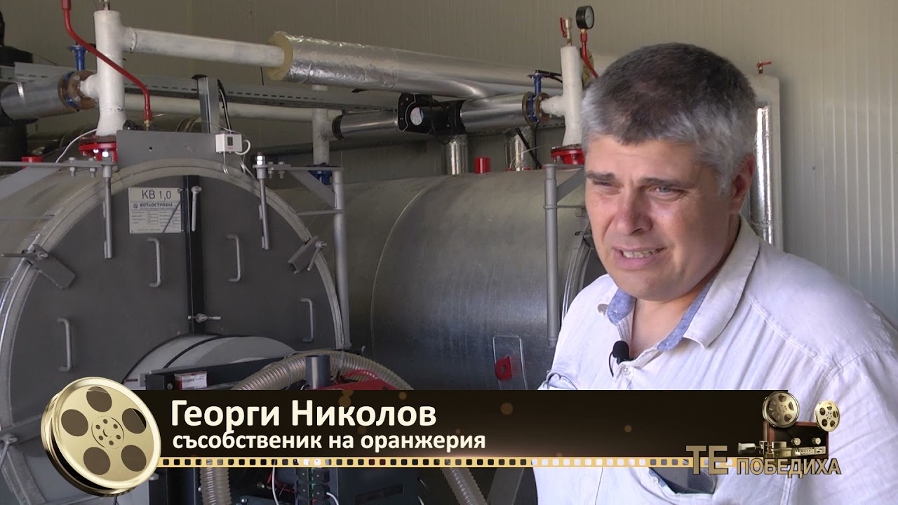 Те победиха: Миналото - Иновативната оранжерия на двама братя - път към успеха, автор: В. Спасова