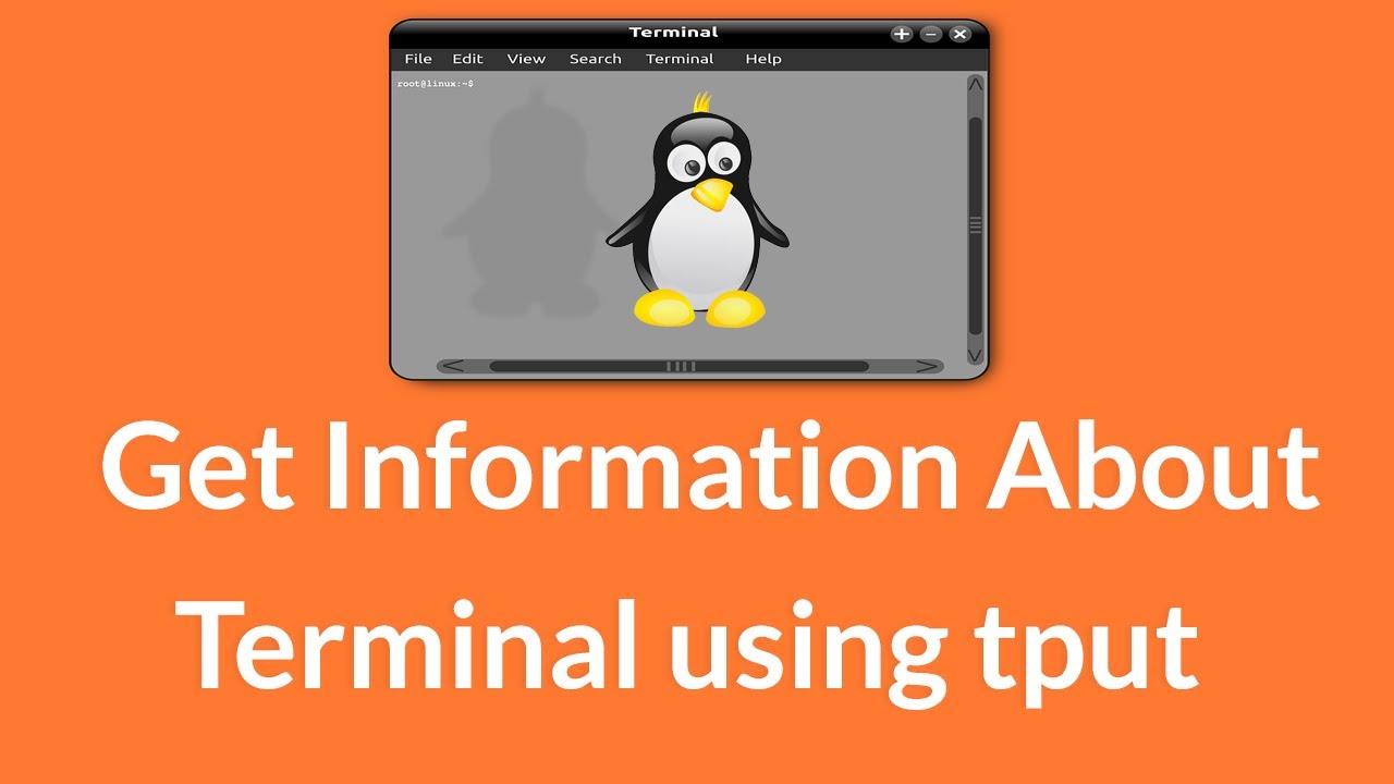 Получите информацию о терминале с помощью команды tput из оболочки Linux