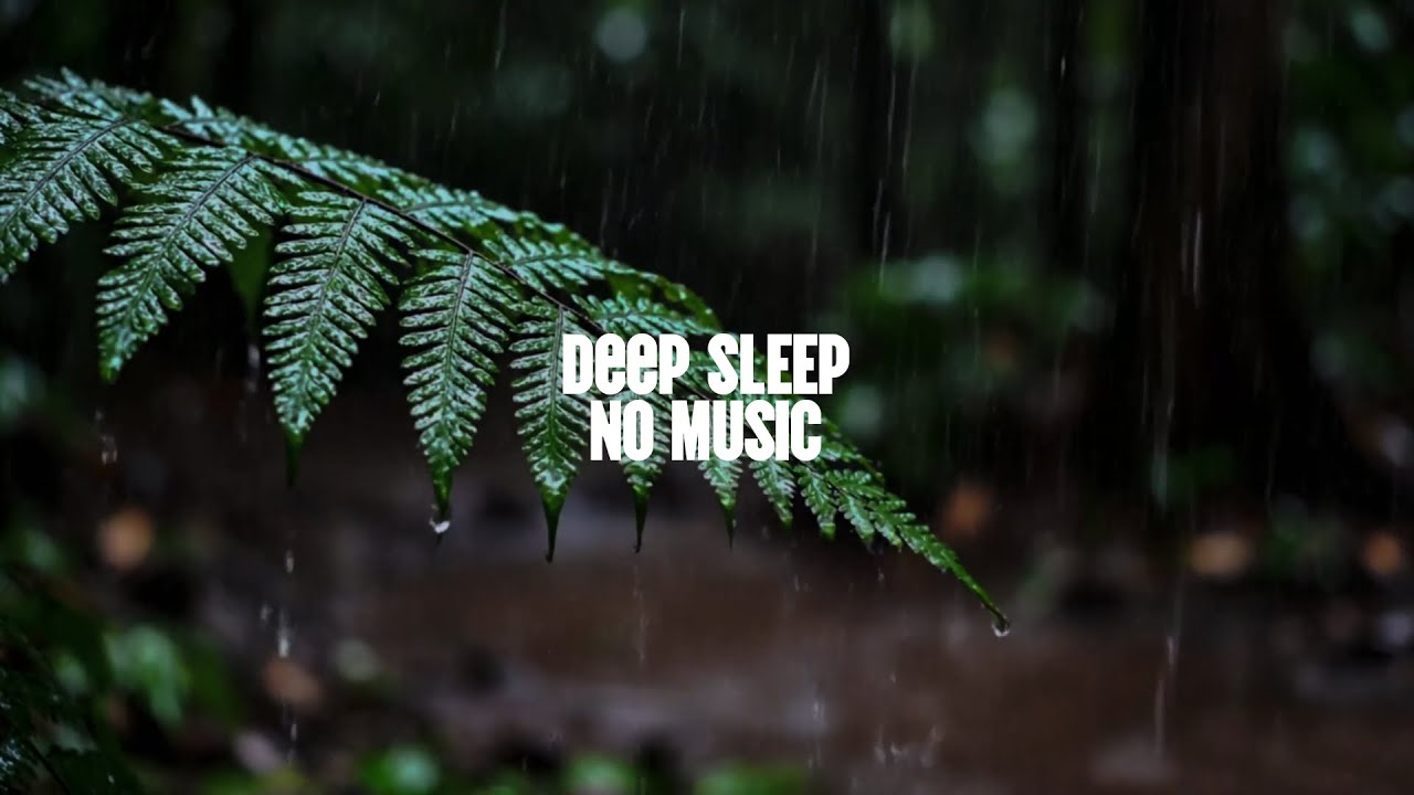Relaxing Sleep ASMR – Forest Night Rain Ambience | No Music