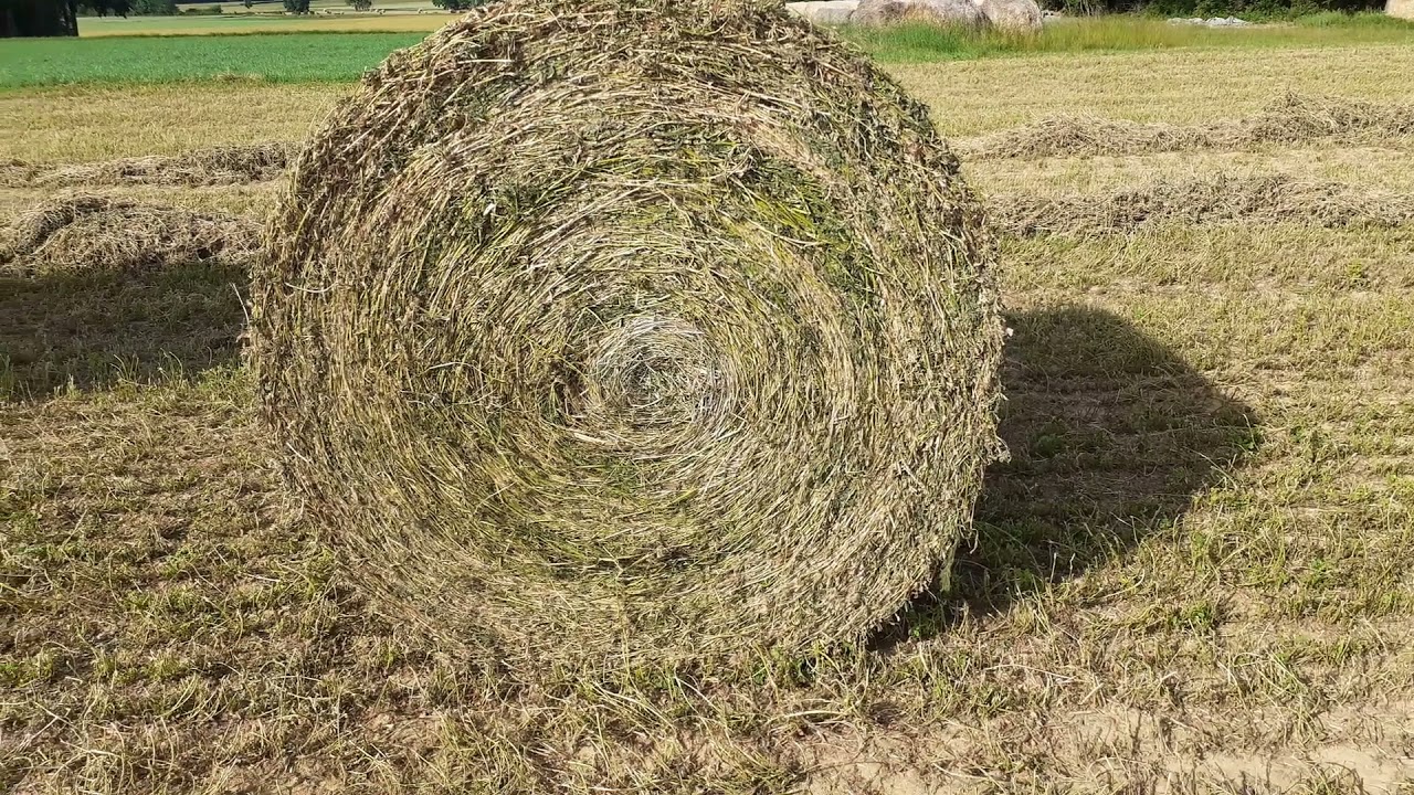 Vidéo n°33: Récolte de la luzerne en foin...tout un art