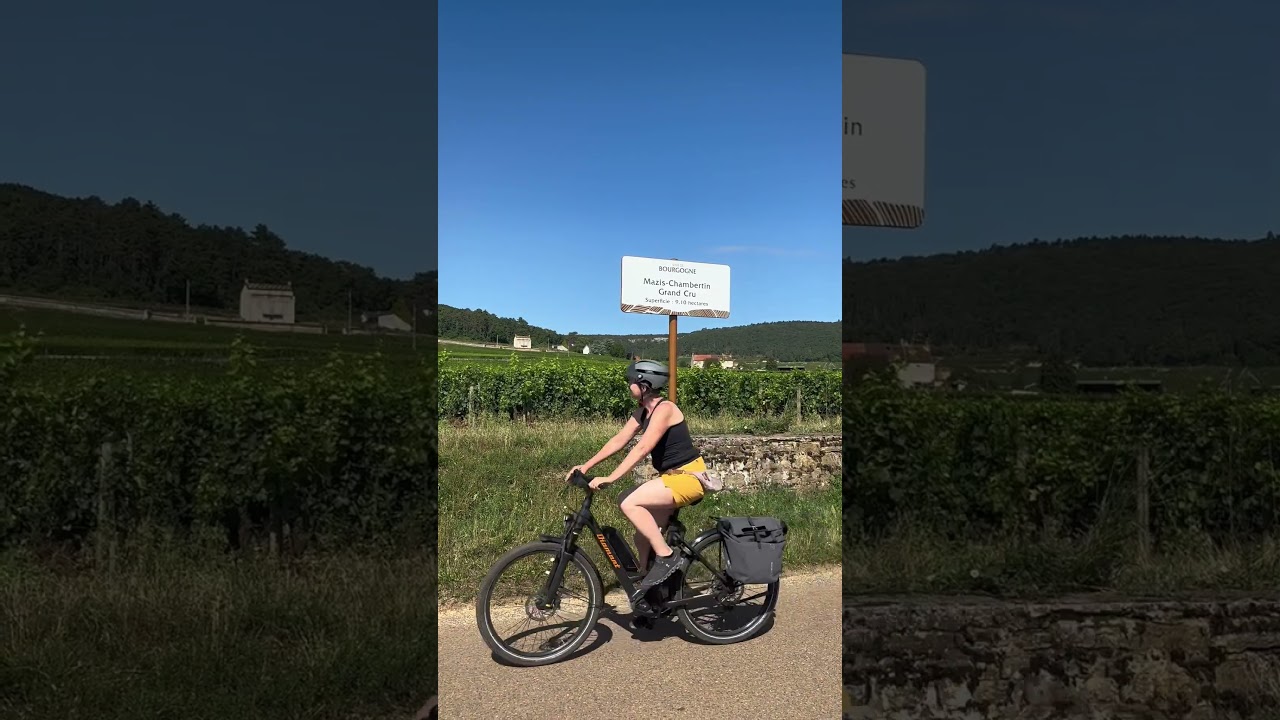 Gevrey-Chambertin : Le village mythique des grands crus de Bourgogne 🍷 #bourgogne #vin