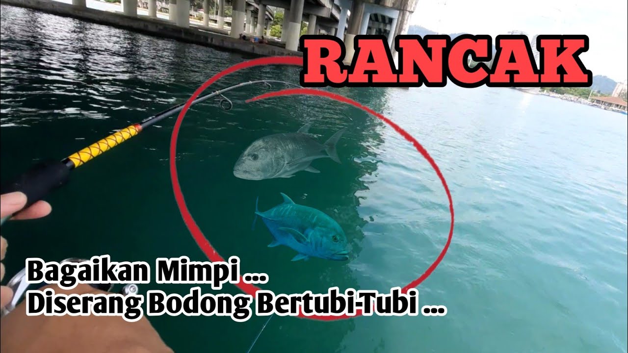 Rancak‼️GASAK TERUK (PART 2) || Mancing Jambatan Pulau Pinang