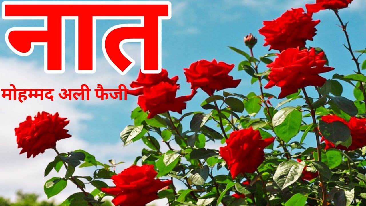 Qari Mohammad Ali Faizi new naat Sharif क्यों ना महके दो जहां महकने वाले आ गए
