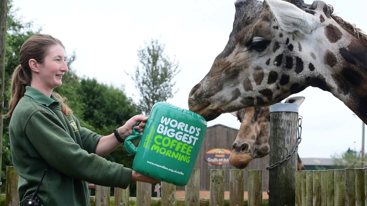 World's Biggest Coffee Morning at Folly Farm
