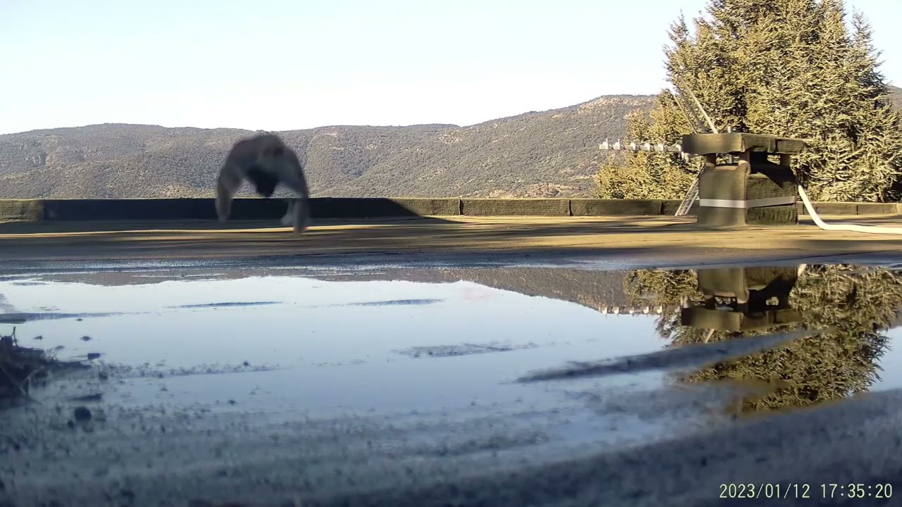 caméra nature