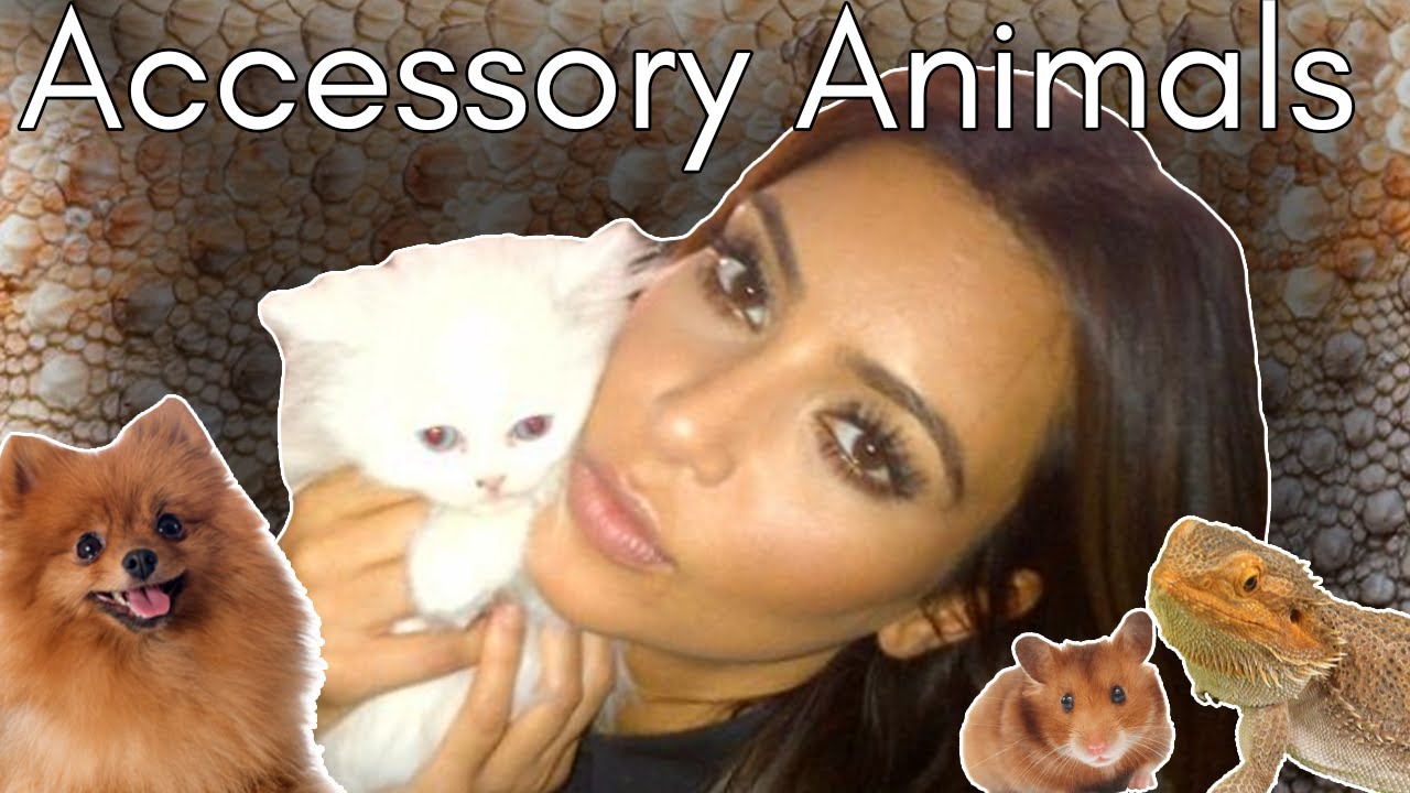 Kim Kardashian's Disturbing History With Animals