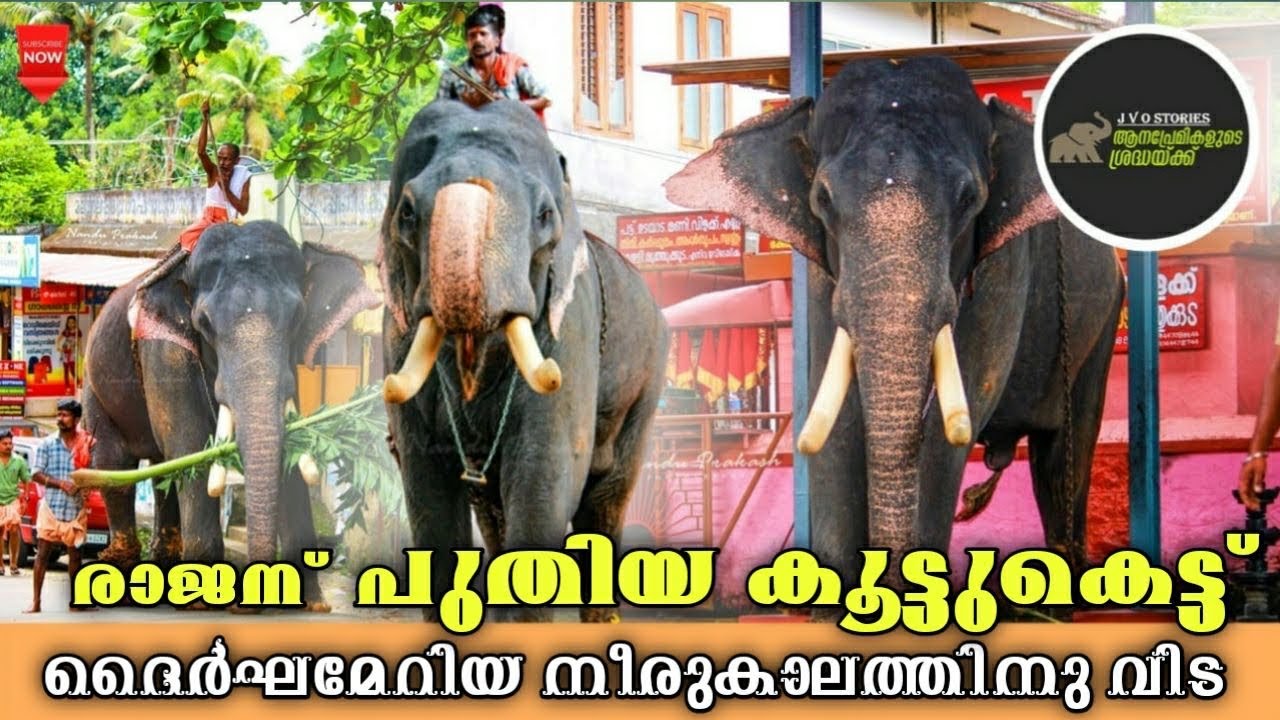 Malayalappuzha Rajan |വിവാദങ്ങൾക്കു വിട....! മലയാലപ്പുഴ അമ്മയെ വണങ്ങി രാജൻ ഇറങ്ങി