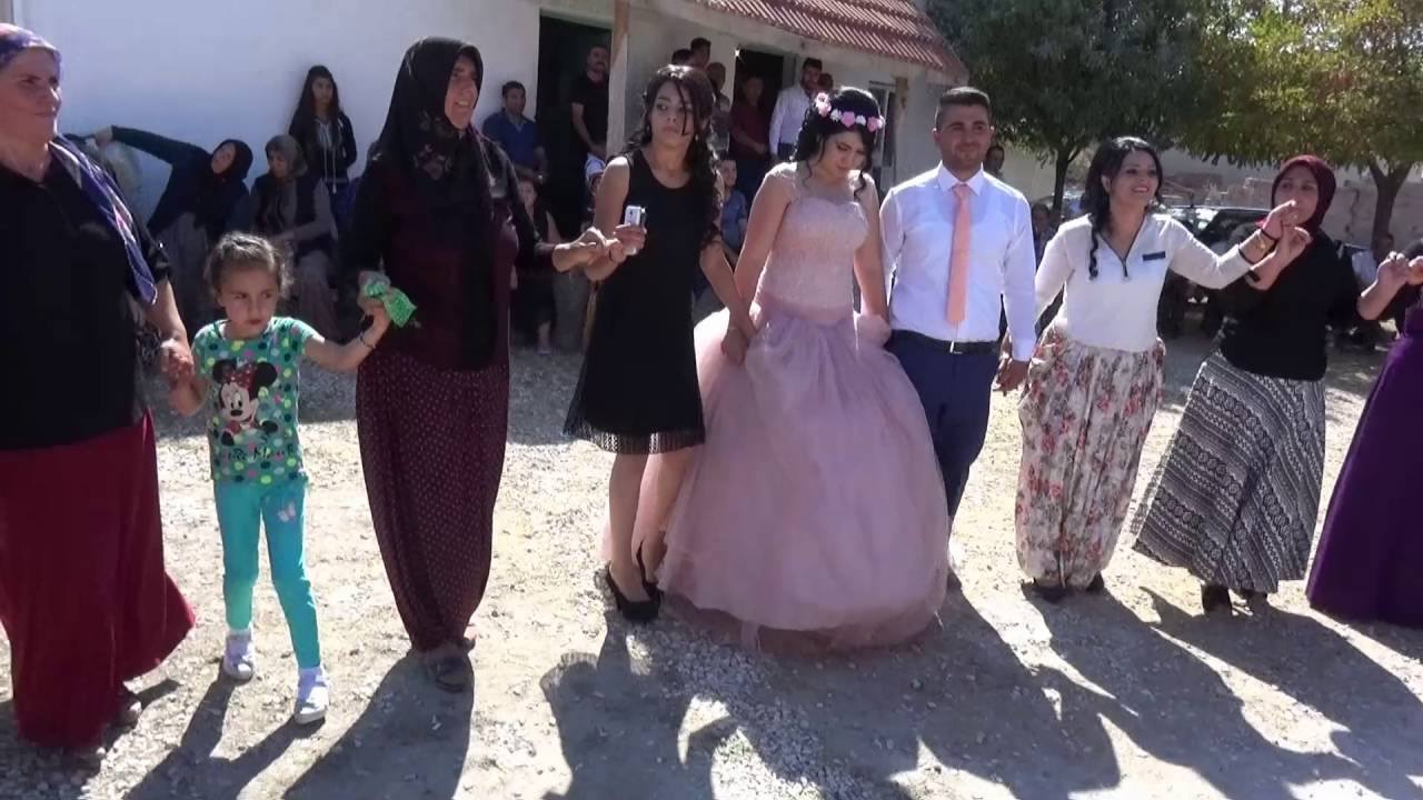 Beşir kurt 1