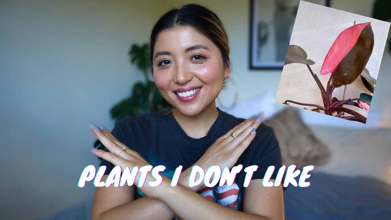 PLANTS THAT I DO NOT LIKE | I WON'T BE GETTING THESE PLANTS