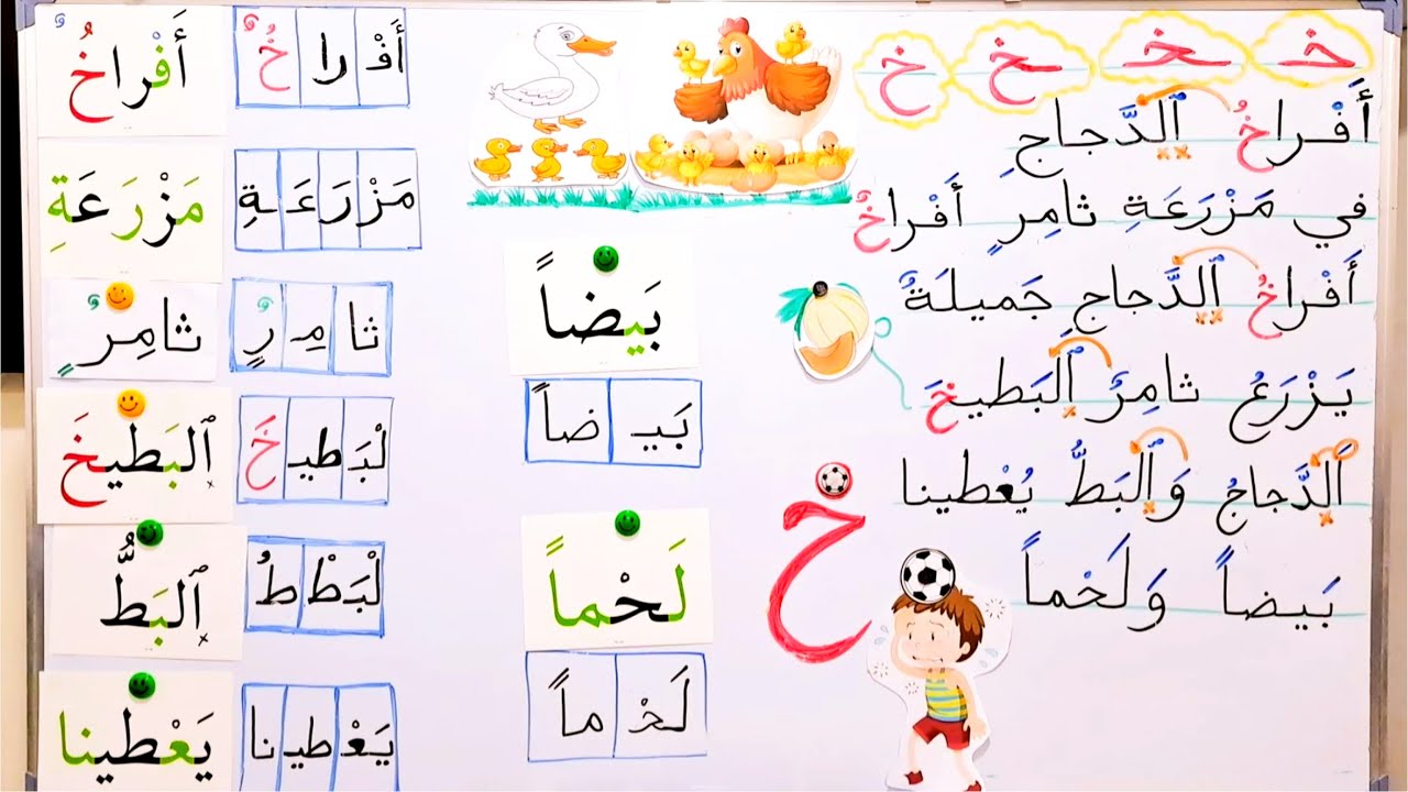 قراءة صف أول أبتدائي //درس ( أَفراخُ الدجاجِ ) #تعلم_القراءة_والكتابة_معنا_بسهولة
