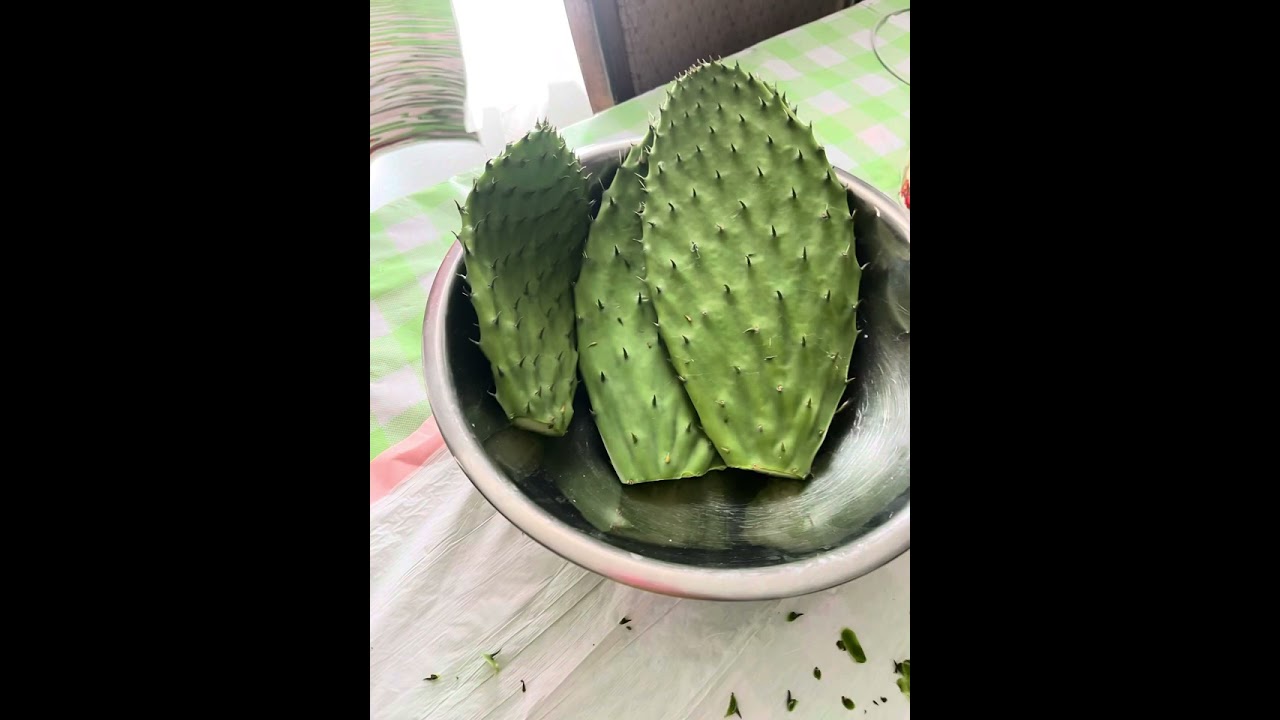 Así limpio y guardo mis nopales