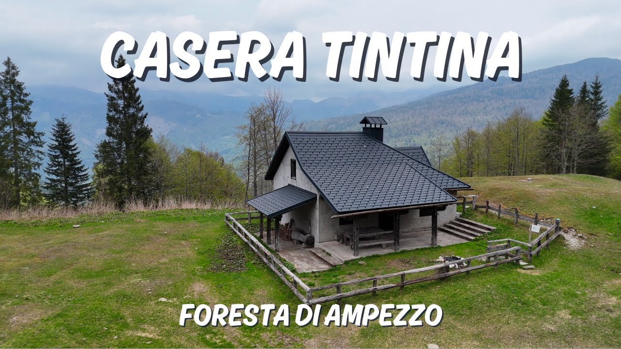 Casera Tintina - Foresta di Ampezzo