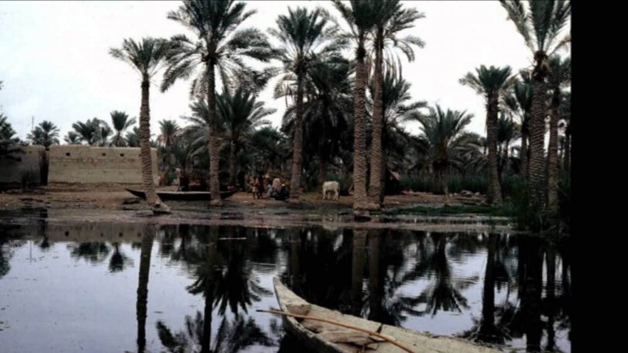 شلو بیه وبیك یبنادم سامي كمال