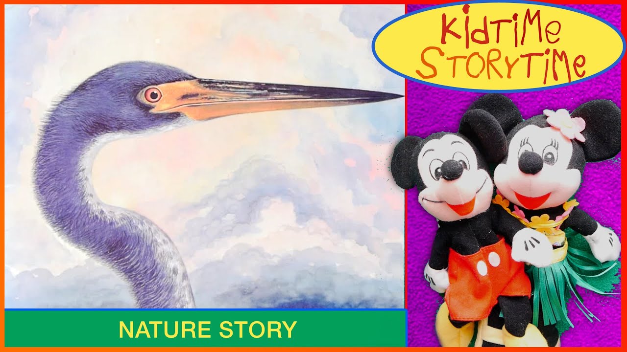 A Story about the Everglades READ ALOUD!