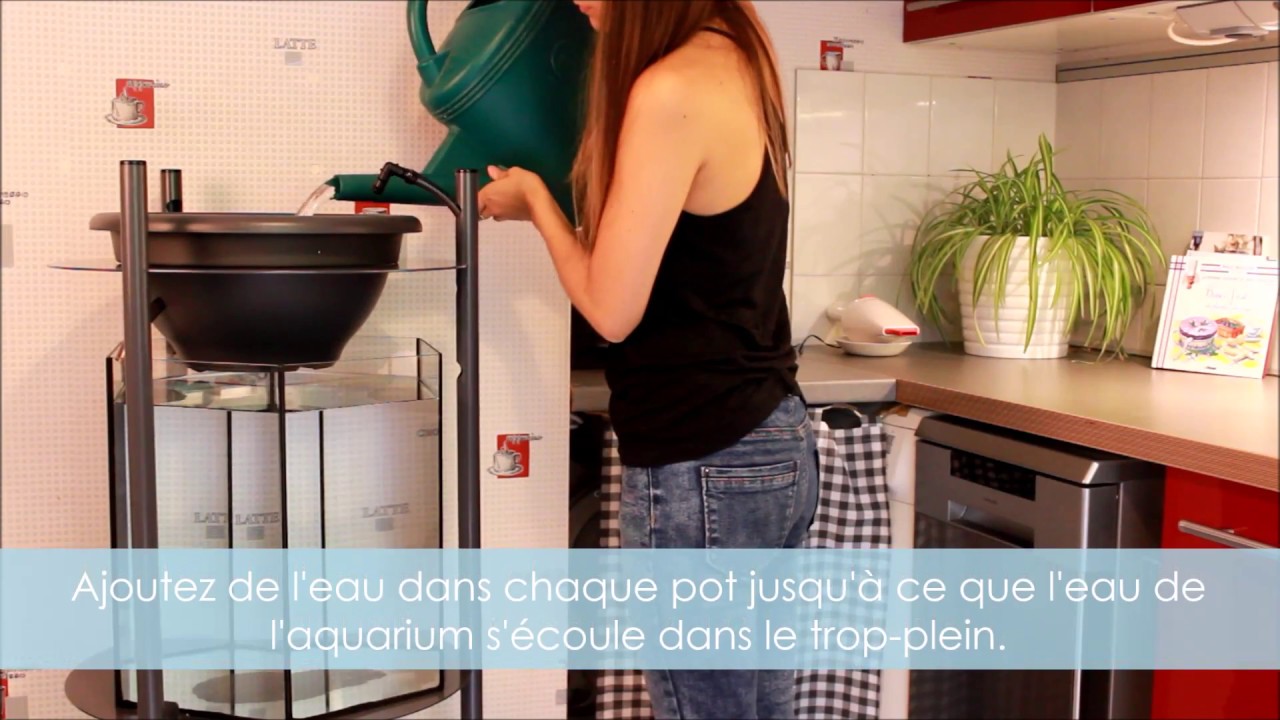Tutoriel n°2 : Comment monter mon système aquaponique Symbium 120 d'Urbanleaf ?