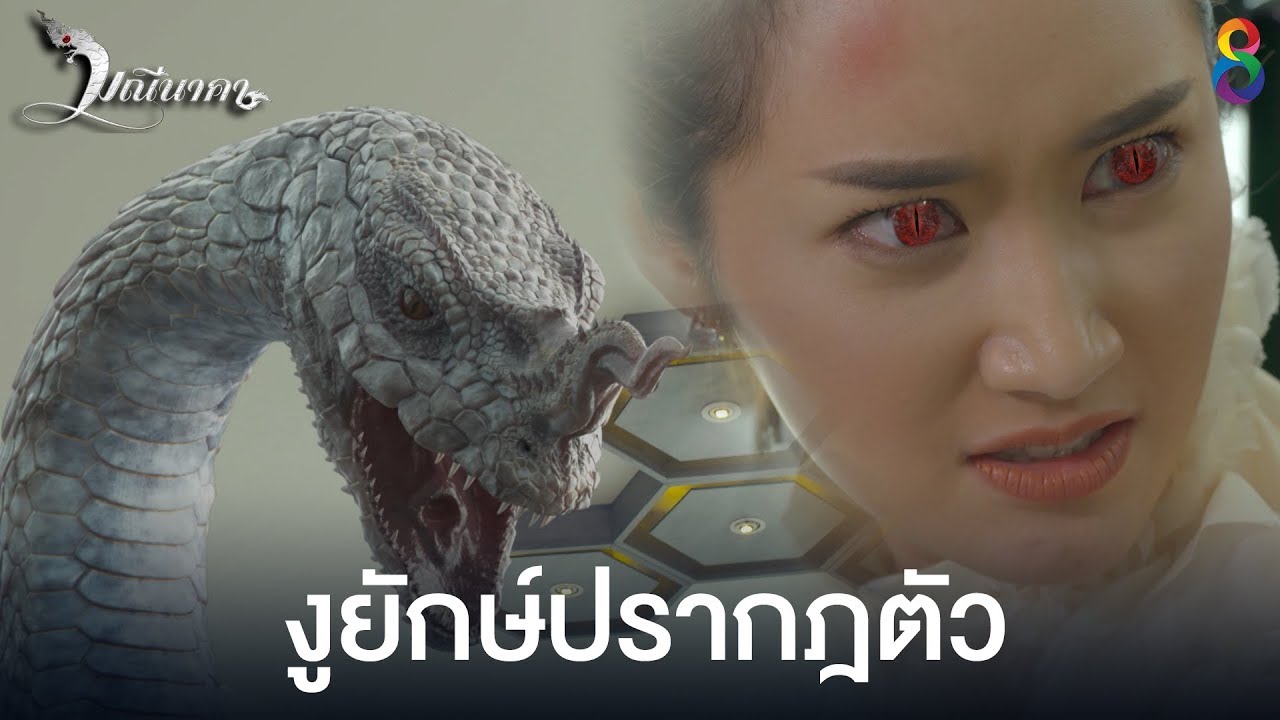 ช็อก! เจอคนกลายร่างเป็นงูยักษ์ |  มณีนาคา ช่อง8 | HIGHLIGHT EP3