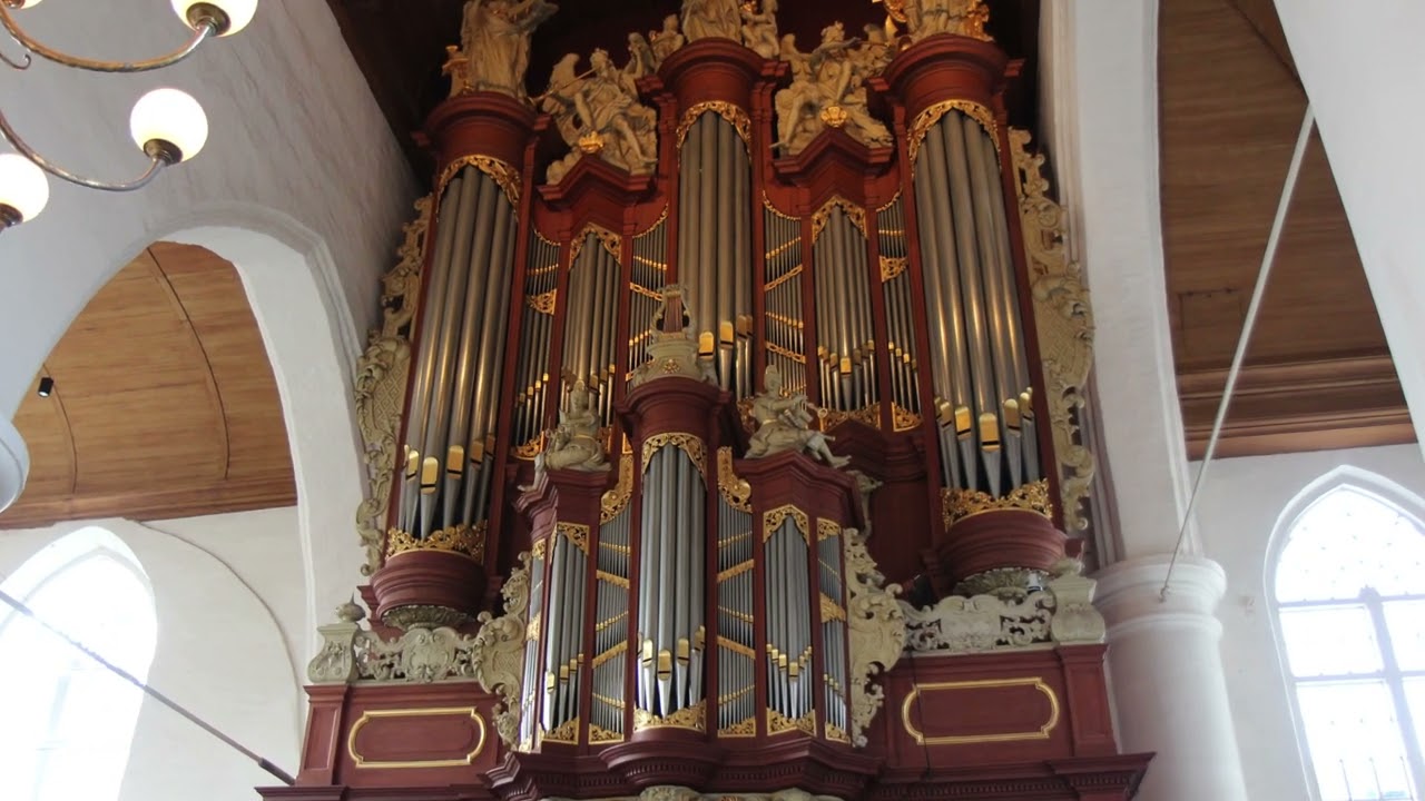 Sheep may safely graze (Aria from Cantata BWV 208) - J.S. Bach | Ronald IJmker