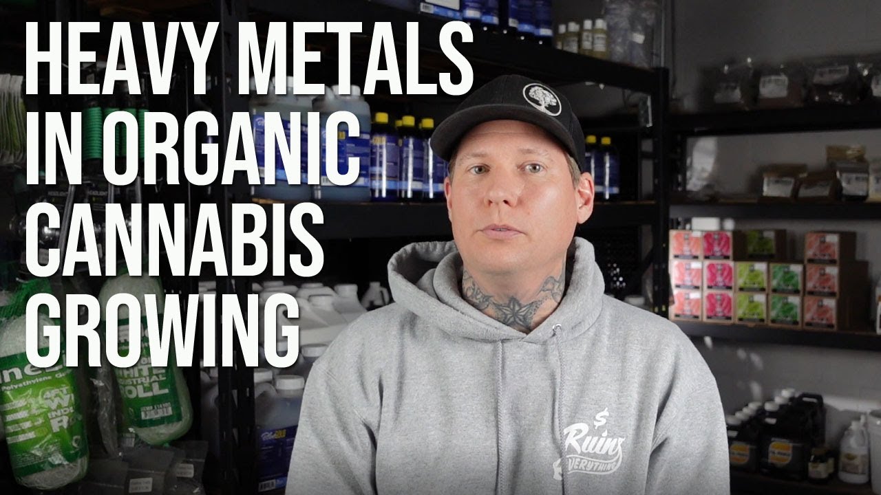 Heavy Metals In Organic Cannabis Growing - An Overview