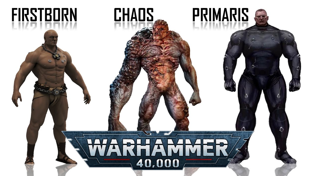 Различия в космодесантниках — Первенцы, Хаос и Примарис (Warhammer 40K)