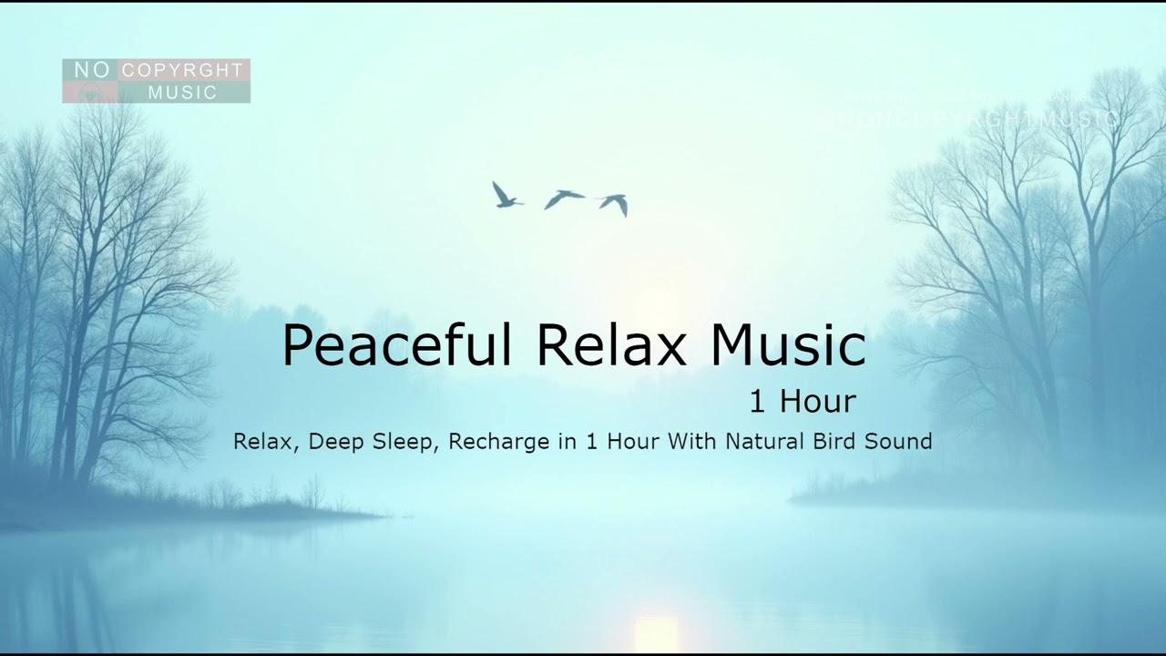 Peaceful Power Nap Music (No Copyright) Deep Sleep & Recharge 1 Hour#1hour #relaxingmusic #healing