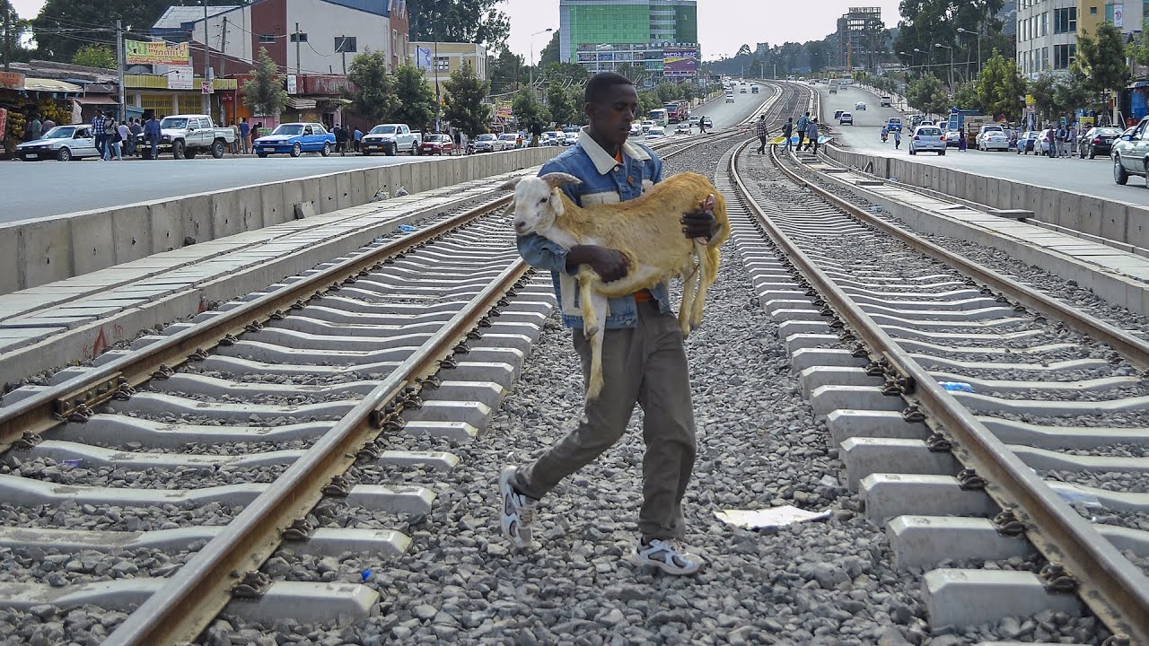 Wealth and Freedom in Ethiopia