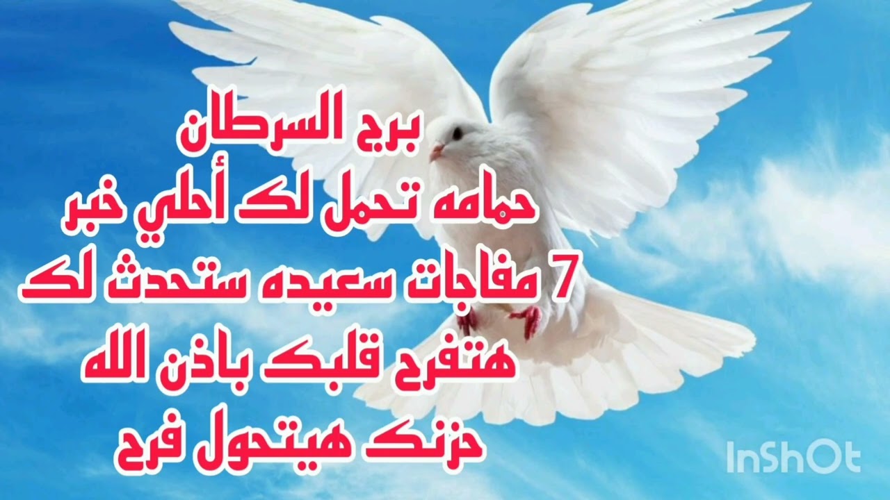 برج السرطان حمامه تحمل لك خبر حلو 🥳 7 مفاجات سعيده ستحدث لك 💫حزنك هيتحول فرح