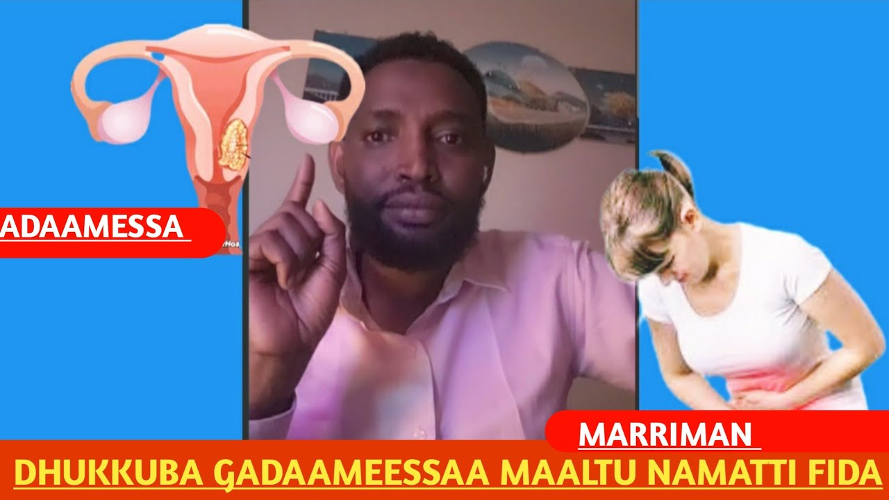 dhukkuba gadameessaa maltu namatti fida