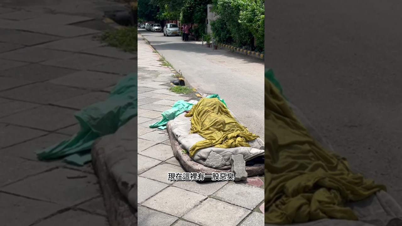 新手不宜，走在印度新德里的街頭一直叭叭叭 India is not for beginner #india #newdelhi #印度