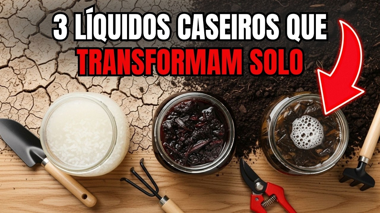 3 Líquidos Caseiros Que Transformam Solo Duro em Terra Fofa (Sem Químicos)