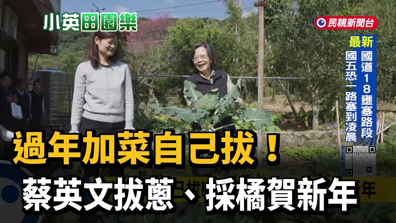 過年加菜自己拔! 蔡英文