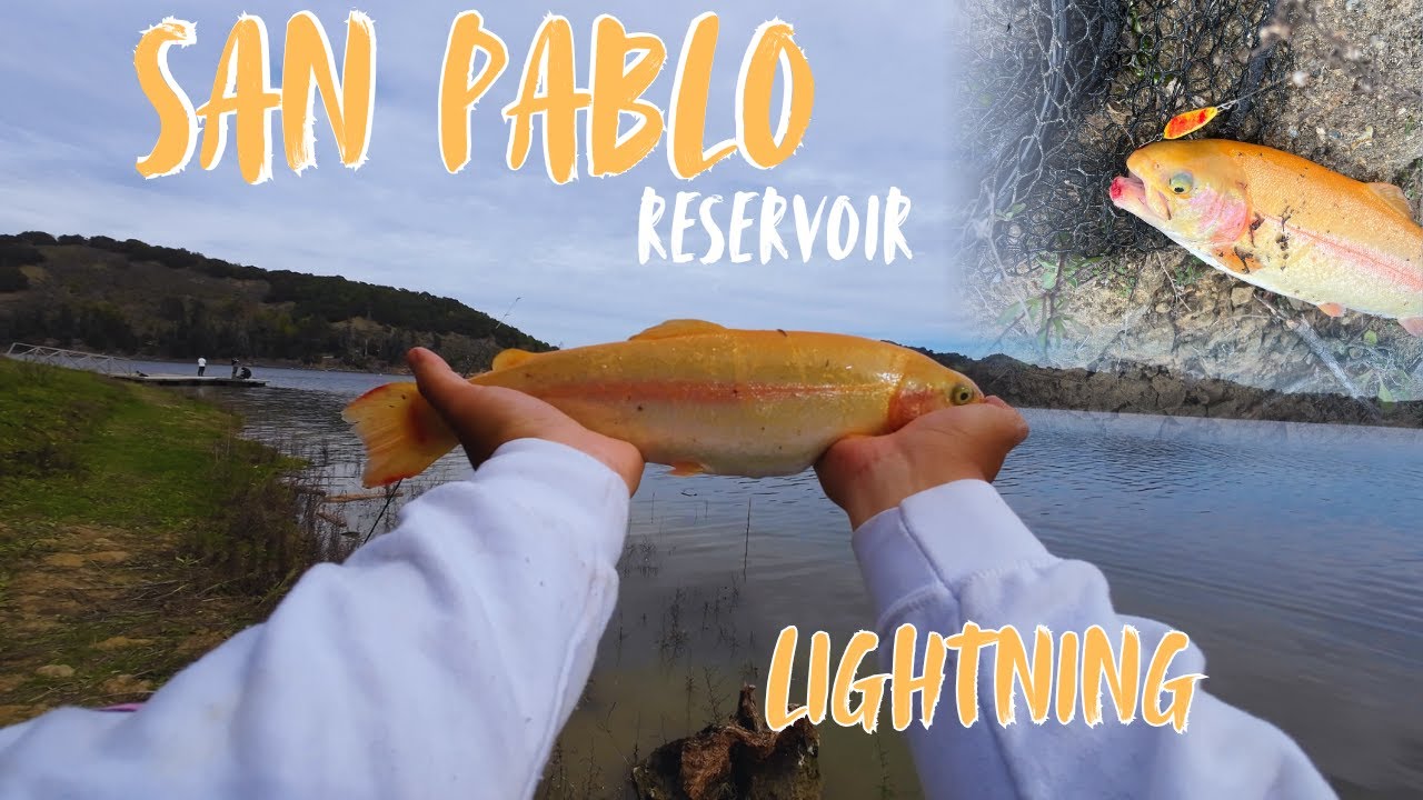 Catching LIGHTNING Trout in San Pablo Reservoir! | Bay Area Trout Fishing