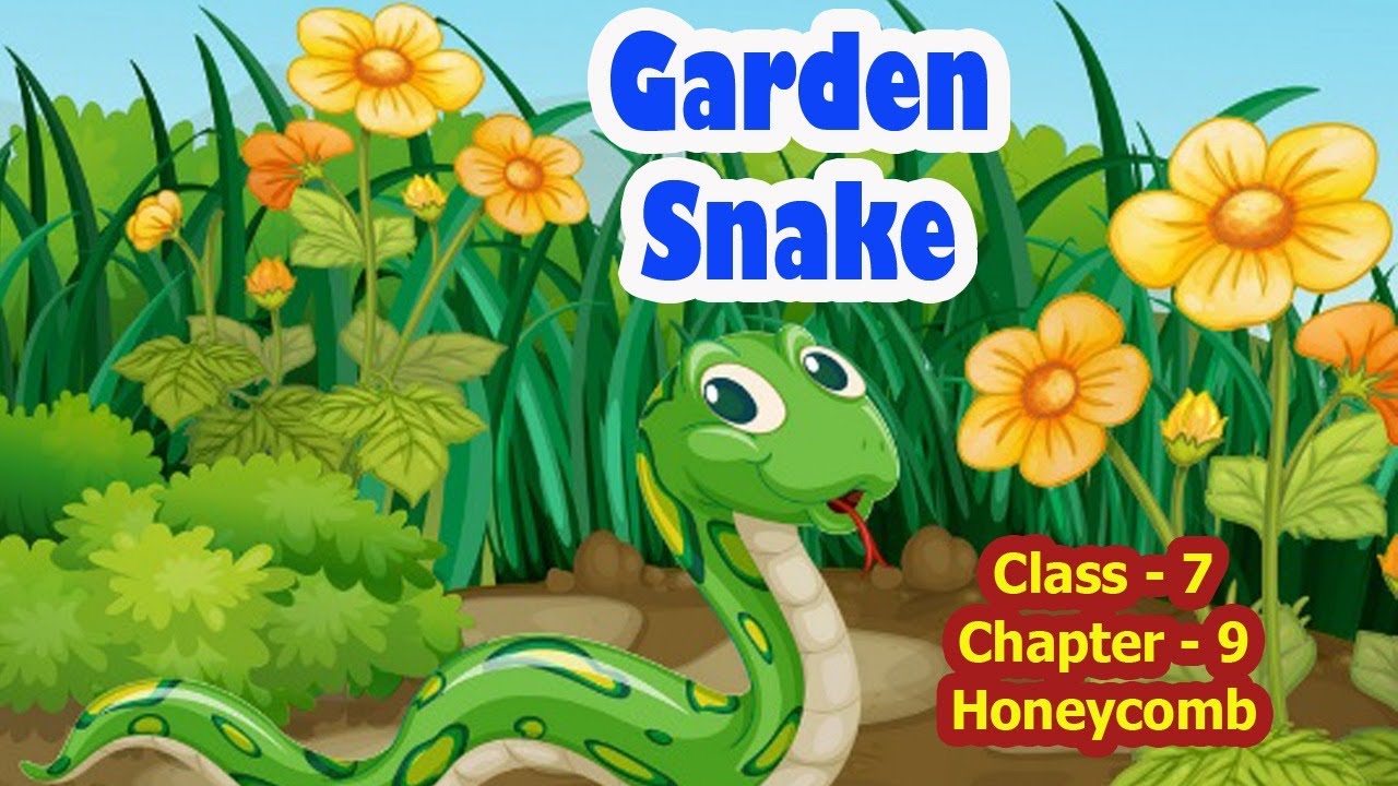 Garden Snake (Poem) #Unit_9 #Class_7 #Honeycomb #Chapter_9 #CBSE #NCERT #GARDEN_SNAKE