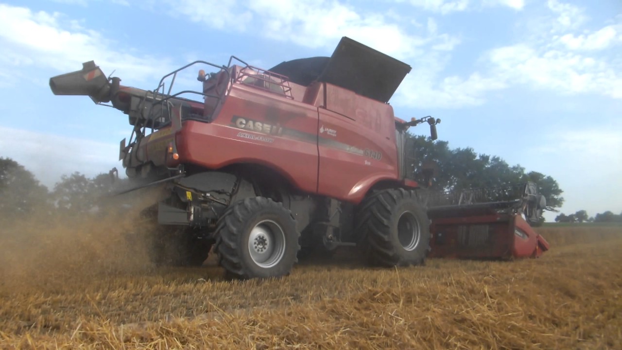 Moisson de blé 2017 Case IH axial 6140