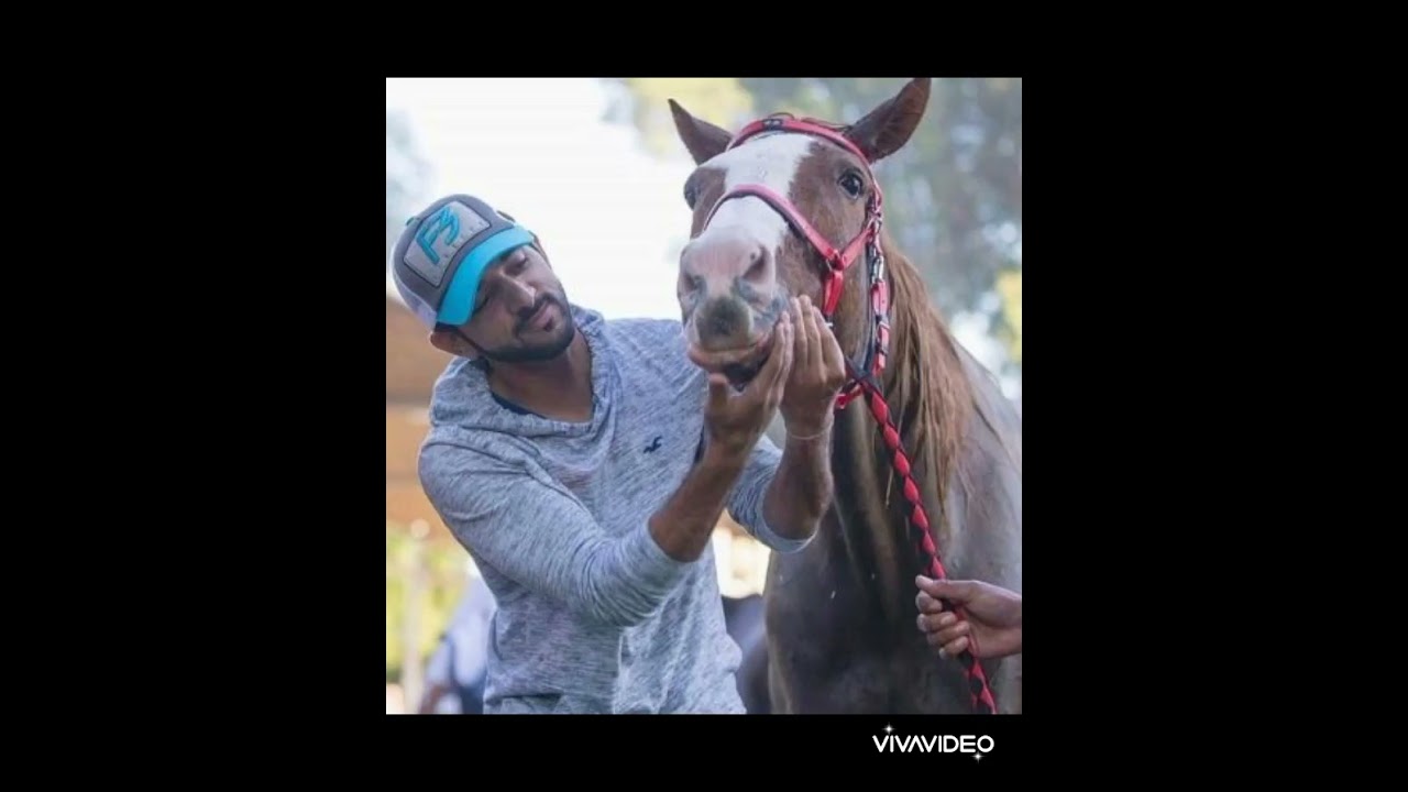 Sheikh hamdan beautifull pic #comments#like#viral #dubai crown prince# #