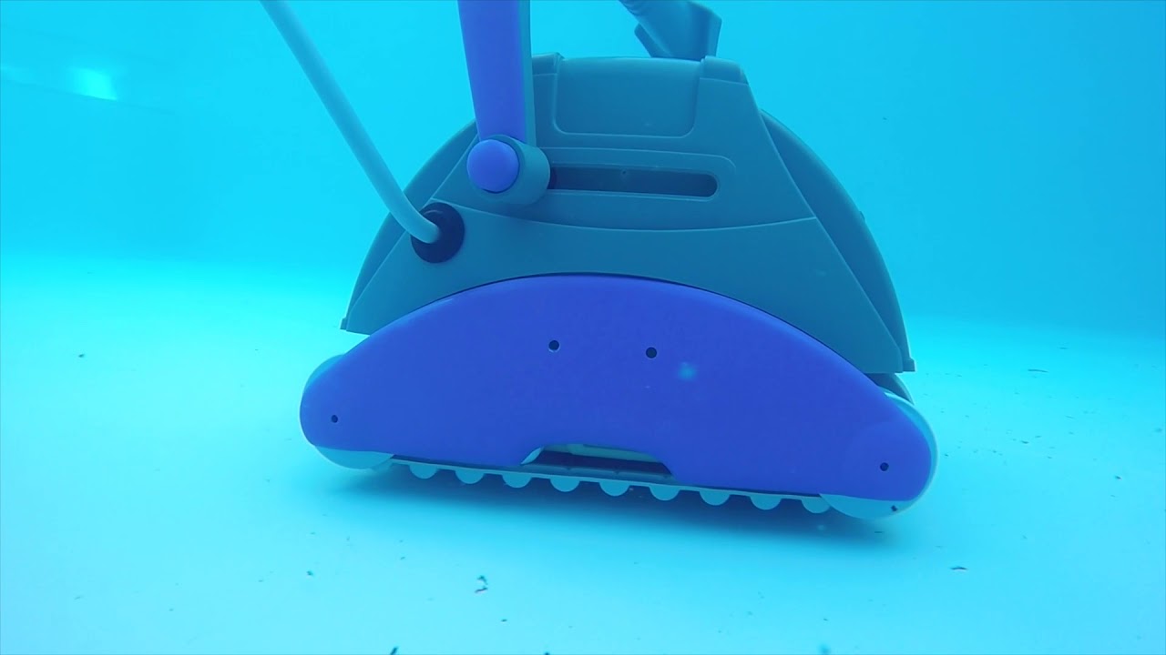 Piranha