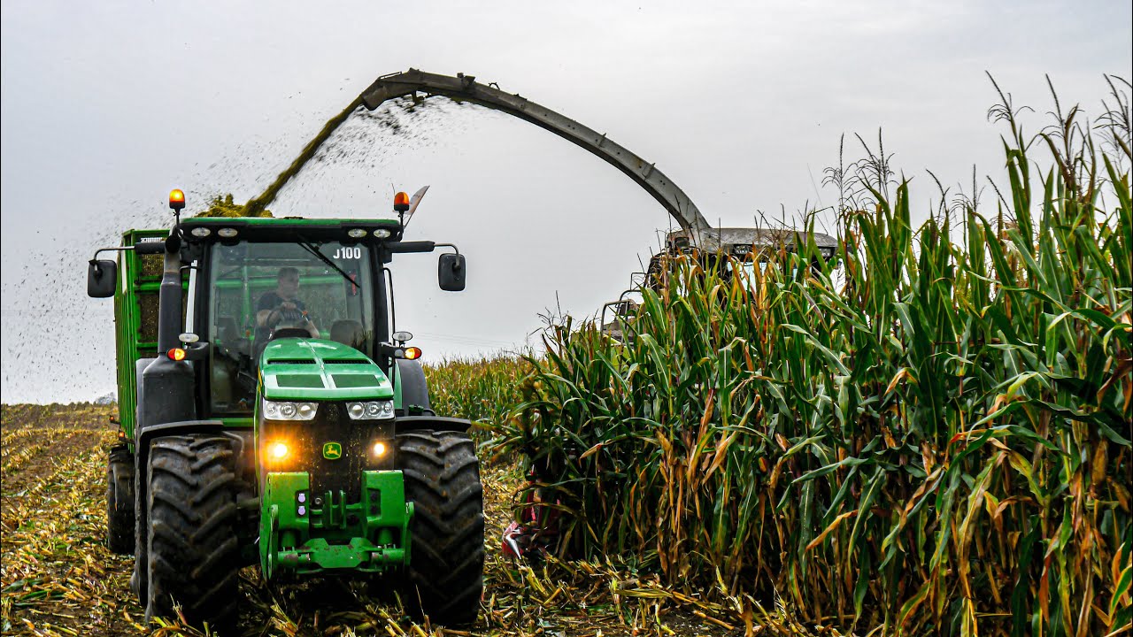 🇵🇱  6 Tyś ha na sieczkę !Kiszonka na wielką skalę  John deere . Fendt , Claas , Krone , New holland