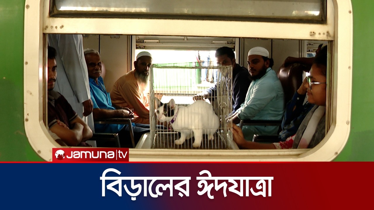 ঈদযাত্রায় শামিল হলো ‘টিংটিং’ নামের ছোট্ট বিড়াল | Cat | Eid | Jamuna TV