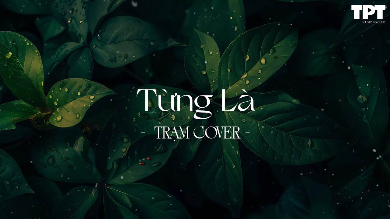 Từng Là, Trái Đất Ôm Mặt Trời, Thu Cuối, Có Em Chờ - Những Bản Hits Nhạc Trẻ Nhẹ Nhàng Cực Chill