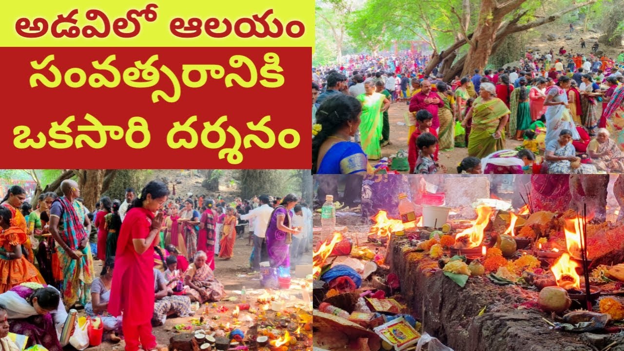 అడవిలో ఆలయం | సంవత్సరానికి ఒకసారి దర్శనం |చూడవలసిన ప్రదేశం #bezawadasumakka