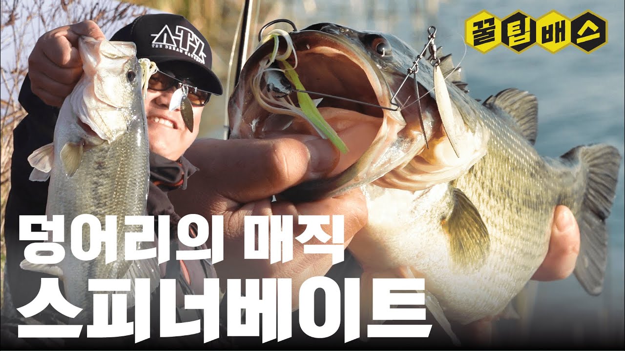 입문자를 위한 쏘감낚시 스피너베이트 가을 배스낚시