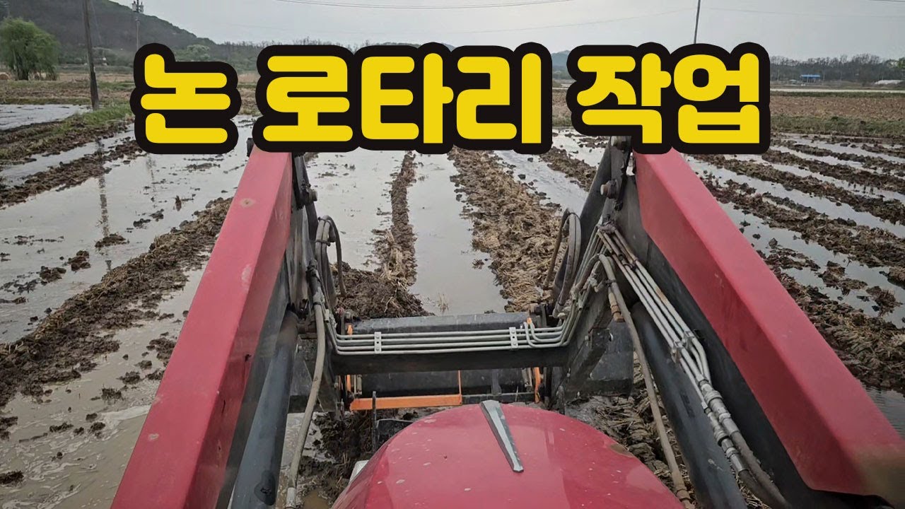 논갈이,논로타리작업하기,논로타리치는방법,#벼농사 #벼 #논갈이 #논로타리치는법