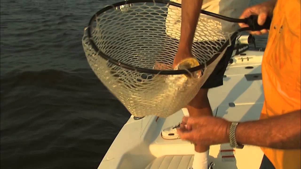 Sweet Shrimp and Speckled Trout