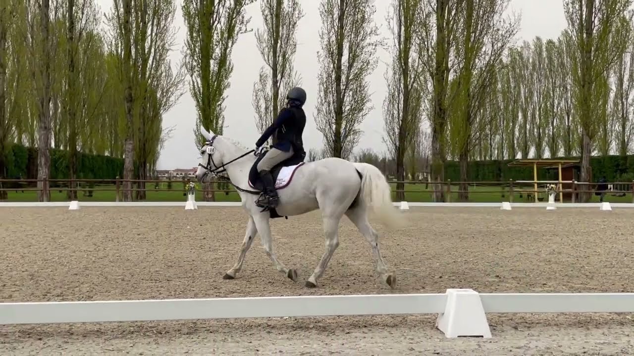 GARA EQUITAZIONE - RIPRESA E80 DRESSAGE