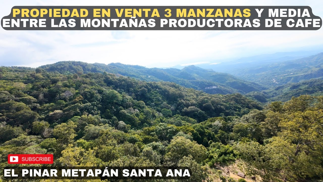 PROPIEDAD EN VENTA 3 manzanas, zona fría y finca de CAFÉ, El Pinar Metapán Santa Ana 🇸🇻😱