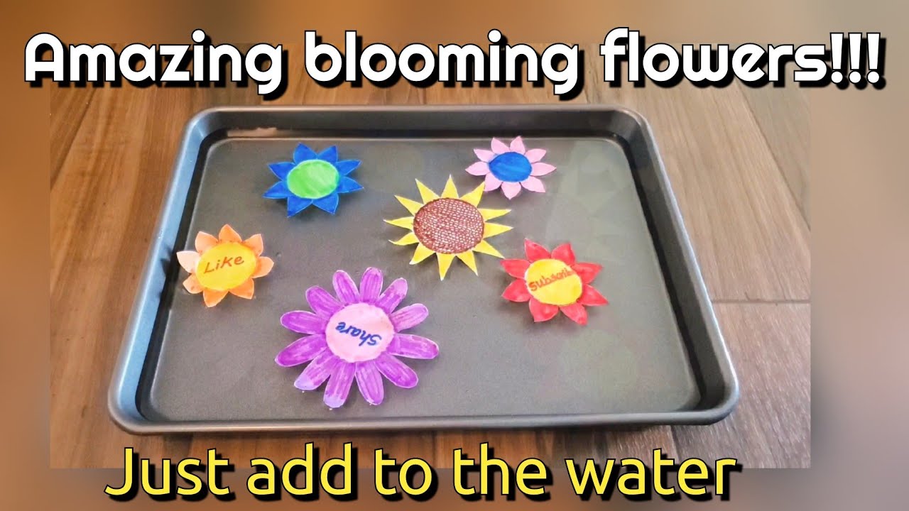 Magic blooming flowers | Amazing paper flowers blooms when added to water